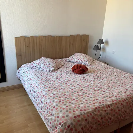 Petite Maison De Quartier Theatre Et Jardin Public * Cognac